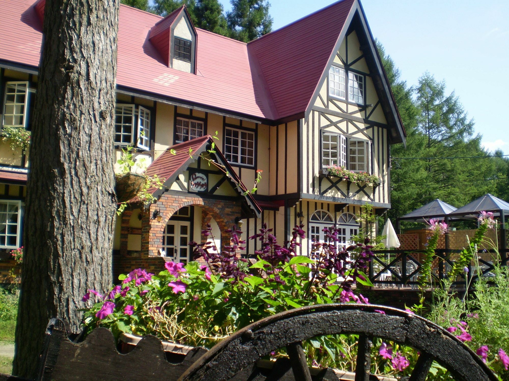 Bed and Breakfast ペンション ちゃうちゃう Хакуба-Мура Экстерьер фото